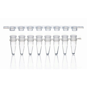 Microprovette per PCR in strip di 8-/12- con striscia di tappi staccabile, PP autoclavabile