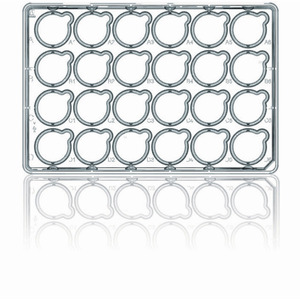 BRANDplates® Piastre Standard a 24-pozzetti o a 6-pozzetti, per inserti