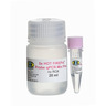 Dye based qPCR mixes Dye based qPCR mixes