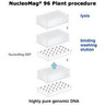 NucleoMag 96 Plant