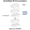 NucleoMag 96 Virus