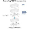 NucleoMag VET NucleoMag VET