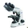 Microscopi ottici Educational-Line OBE 12/13