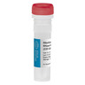 Inibitore RNasi RiboGrip® (220U/µl) Inibitore RNasi RiboGrip® (220U/µl)