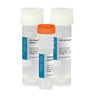 Kit TERMIPol® DNA Polymerase Kit TERMIPol® DNA Polymerase