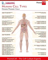 Human Cell Types - Promocell