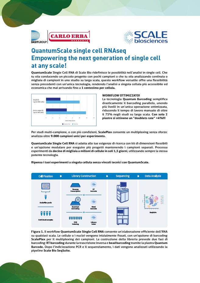 QuantumScale single cell RNAseq