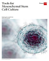 Tools for mesenchymal stem cell colture