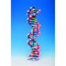 Molecular model system miniDNA / RNA Kits