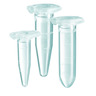 Microtube Safe-Lock, en PP Microtube Safe-Lock, en PP