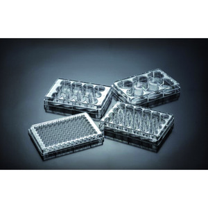 Placas para el cultivo celular, tratadas, PS, estériles
