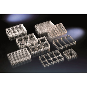 Piastra multipozzetto Multidish