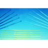 Inoculating loops and needles, PS Inoculating loops and needles, PS