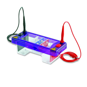 Cámara de electroforesis MultiSUB Mini