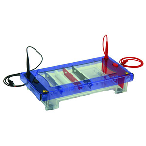 Cámara de electroforesis MultiSUB Choice