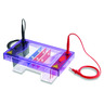 Cámara de electrofóresis en gel MultiSUB Midi Cámara de electrofóresis en gel MultiSUB Midi
