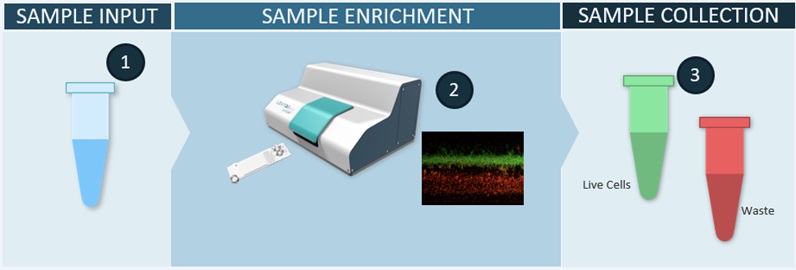 Improving Single-Cell RNA-Seq Workflow