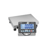 Bilancia a piattaforma SXS 100K-2LM