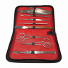 Microscopic set, large
